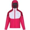 Regatta Childrens/Kids Acidity IV Reflective Hooded Softshell Jacket (Duchess -Hiking Equipment Store k45dcc2b727be8313a8e757e4af0368b7