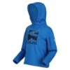 Regatta Kids' Highton Extol Printed Hoodie -Hiking Equipment Store k4cd8e683c4d1fd044b5f4d4a3a7d7e49