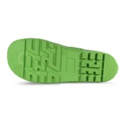 Regatta Childrens/Kids Mudplay Jnr Frog Square Wellington Boots (Frog Green) -Hiking Equipment Store ke0a2ada960ee936c5f5d2a947e0ed227