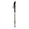 Regatta Unisex Adult Ultralite Lightweight Walking Pole (Black) 1 Regatta Unisex Adult Ultralite Lightweight Walking Pole (Black) -Hiking Equipment Store kecc0cd179a0803bb50b07679bca3b39c