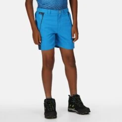 Regatta Sorcer Mountain III Kids' Hiking Shorts -Hiking Equipment Store kedd853002971bbb660c70caa119c1639